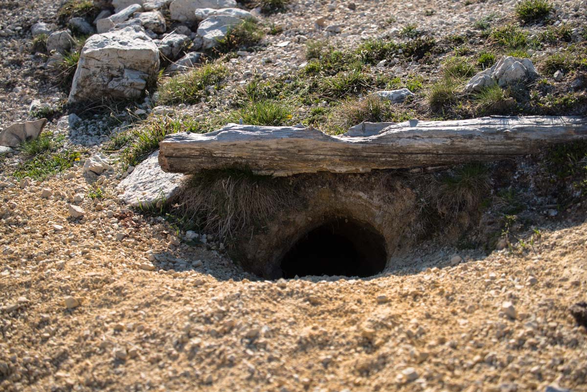 Erdbauten der Murmeltiere am Schlern