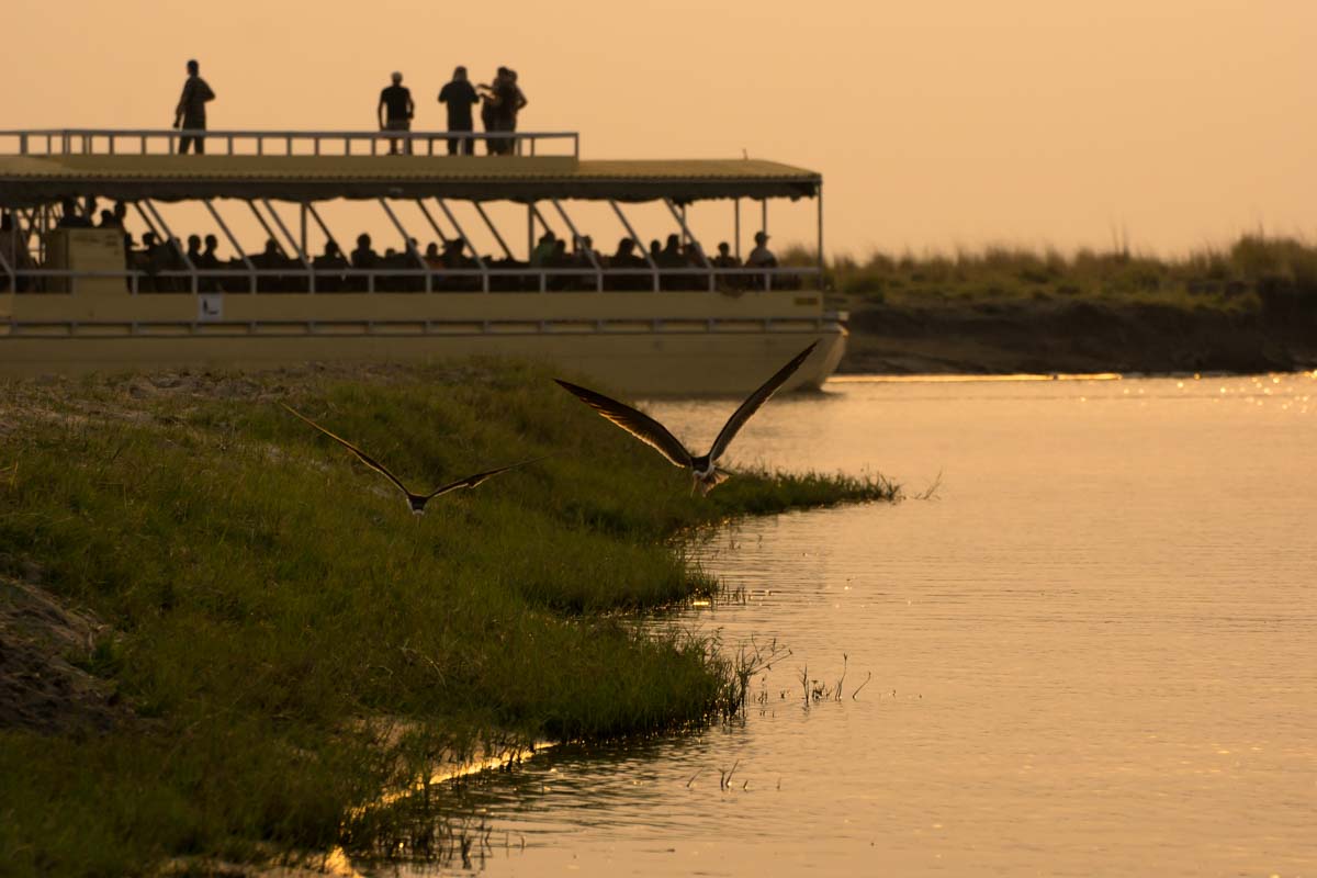 Boote anderer Touranbieter auf dem Chobe