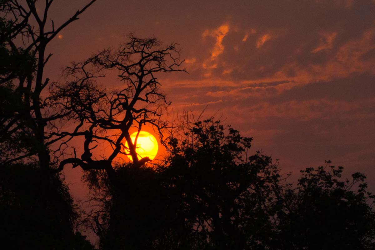 Sonnenuntergang im Chobe NP in Botswana