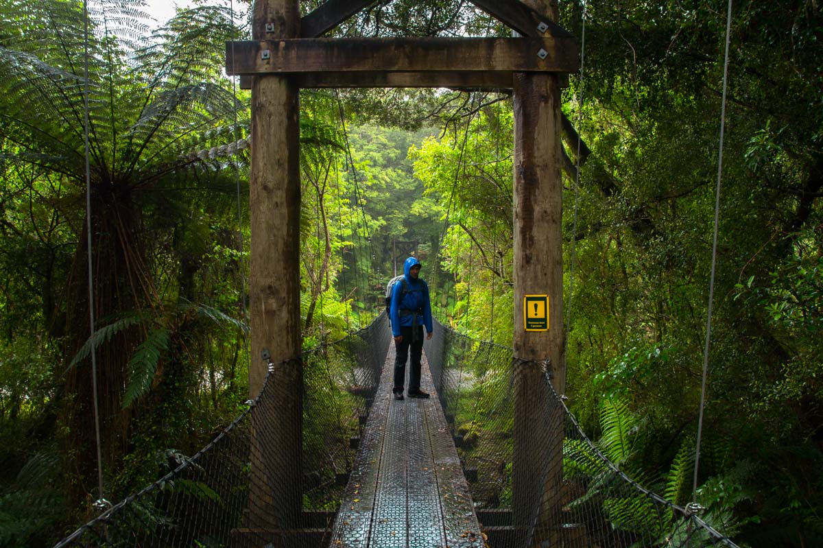 Monro Beach Walk in Neuseeland