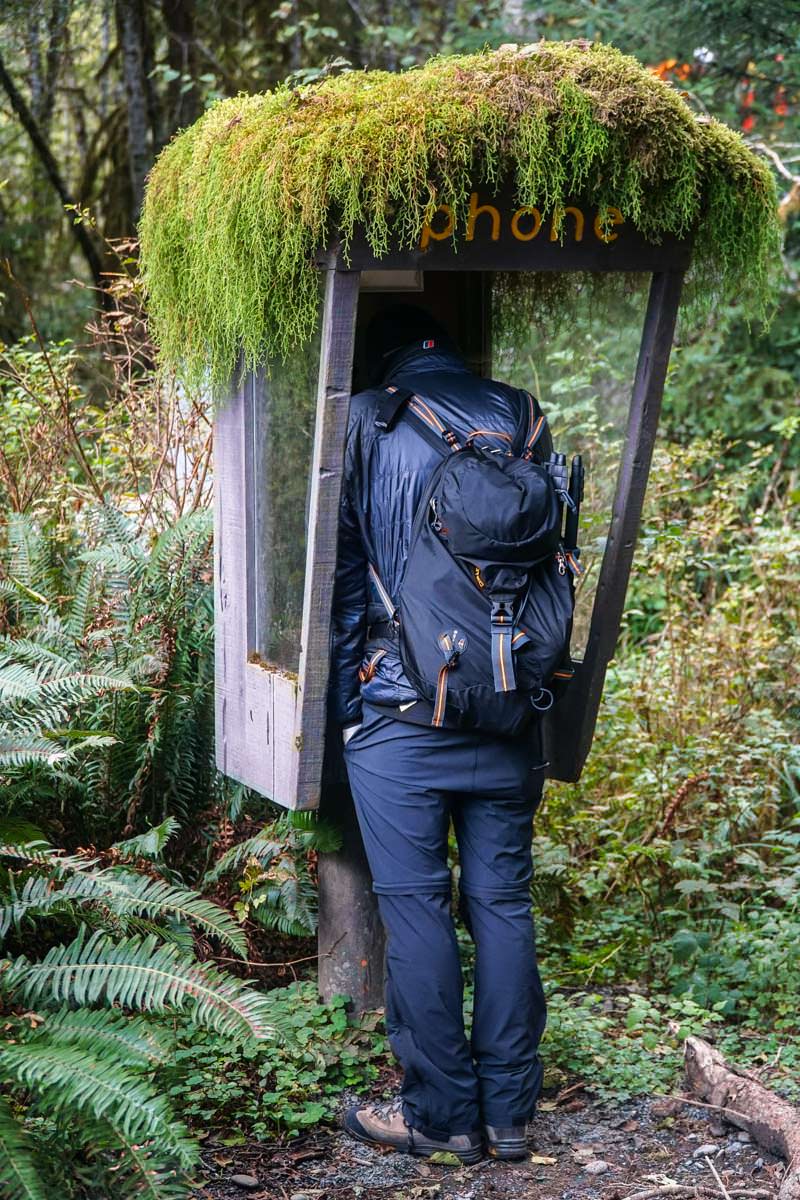 Telefonzelle im Hoh Rain Regenwald (Olympic Nationalpark)