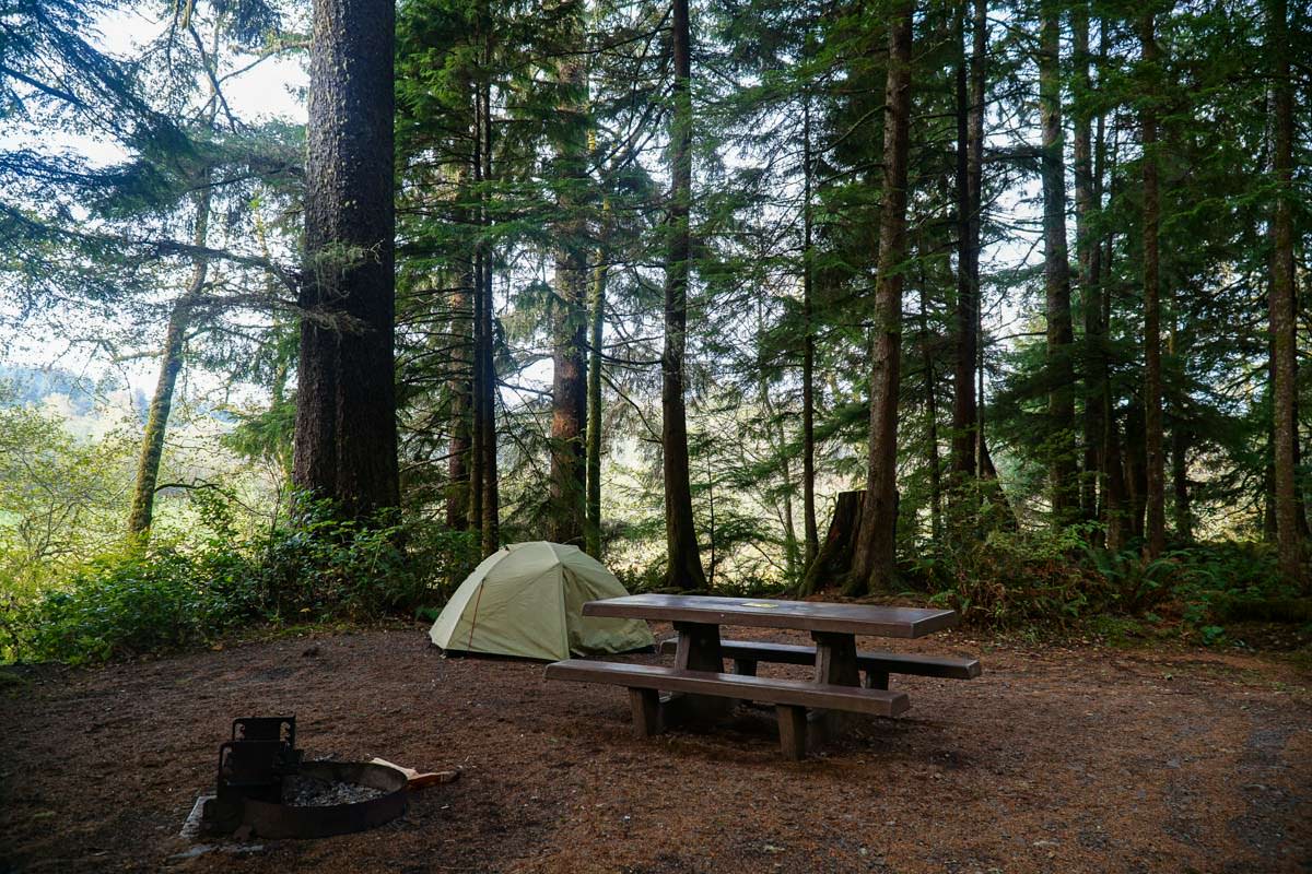 Stellplatz im Mora Campground (Olympic Nationalpark)