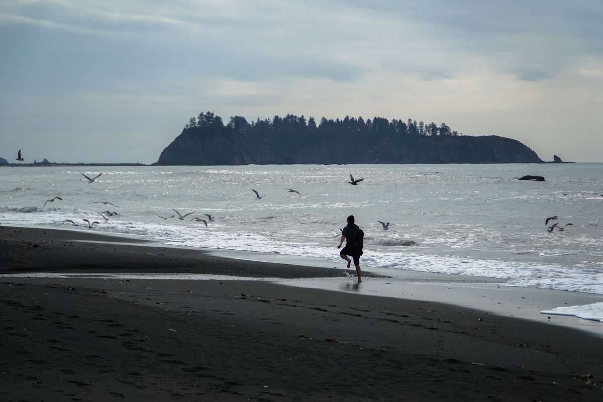 Rialto Beach im Olympic Nationalpark