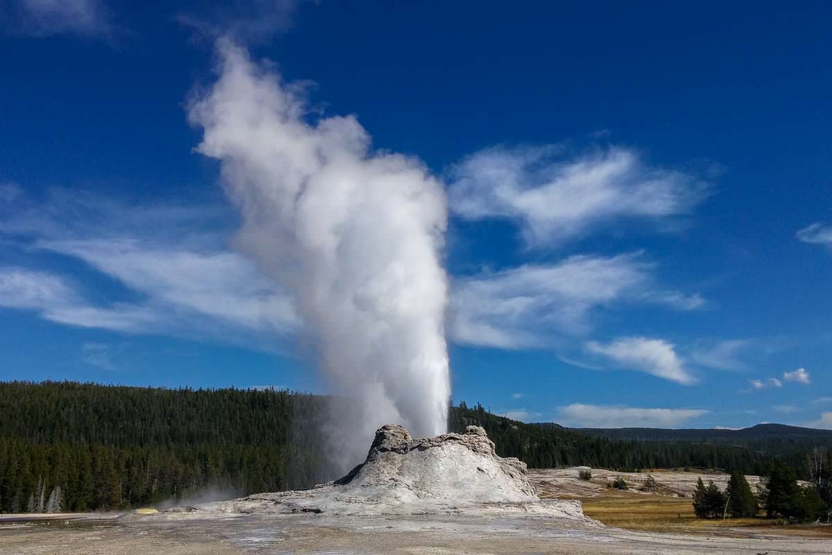 Castle Geysir im Yellowstone NP