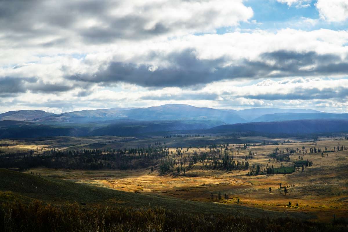 Ausblick vom Mount Washburn im Yellowstone NP