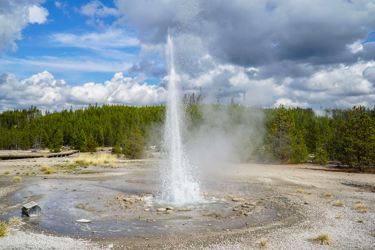 Vixen Geysir im Norris Geysir Basin (Yellowstone NP)