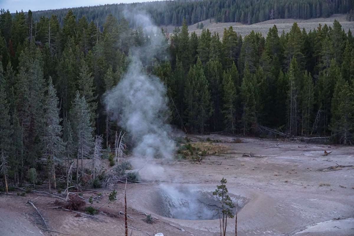 Mud Volcano im Yellowstone NP