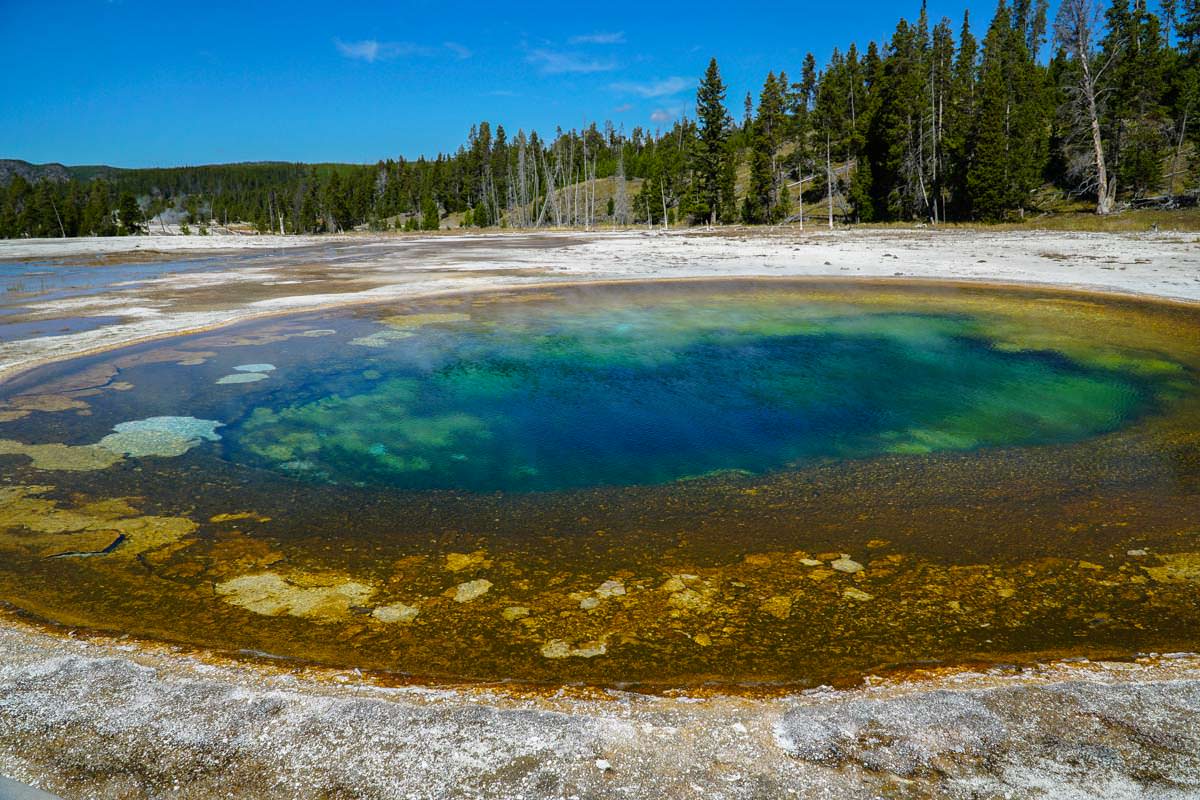 Chromatic Pool im Yellowstone NP