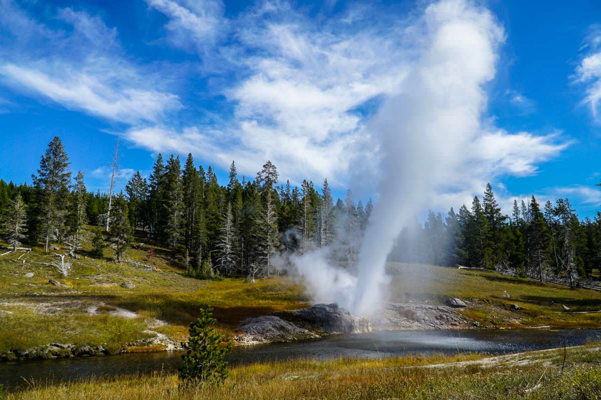 Riverside Geysir im Yellowstone NP