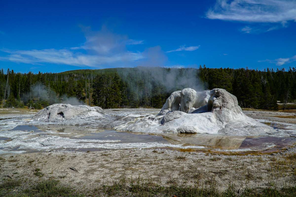 Grotto Geysir im Yellowstone NP