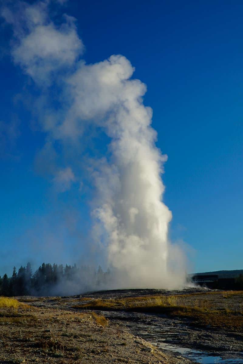 Old Faithful Geysir im Yellowstone NP