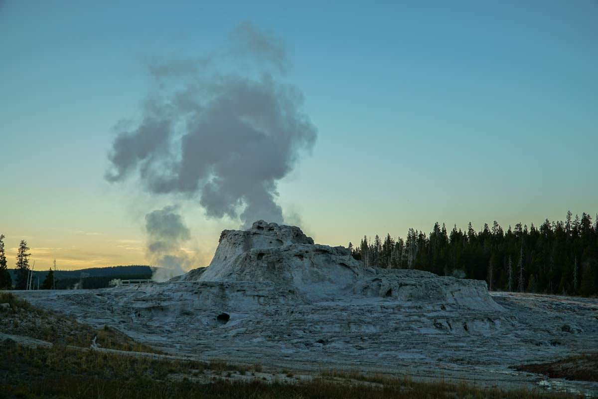 Castle Geysir im Yellowstone NP