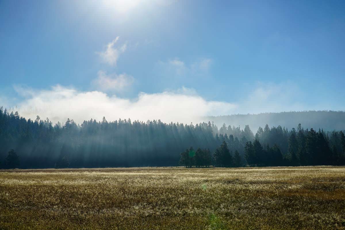 Nebellandschaft im Yellowstone NP