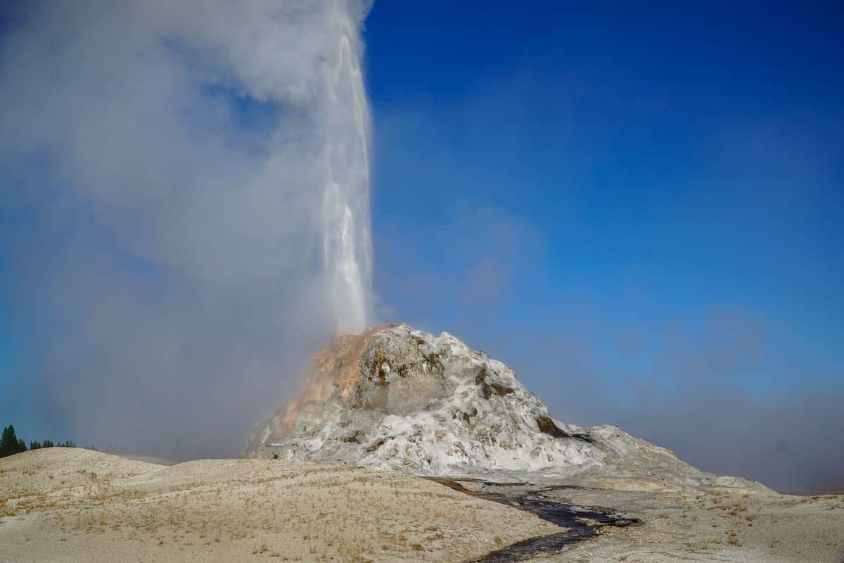 White Dome Geysir im Yellowstone NP