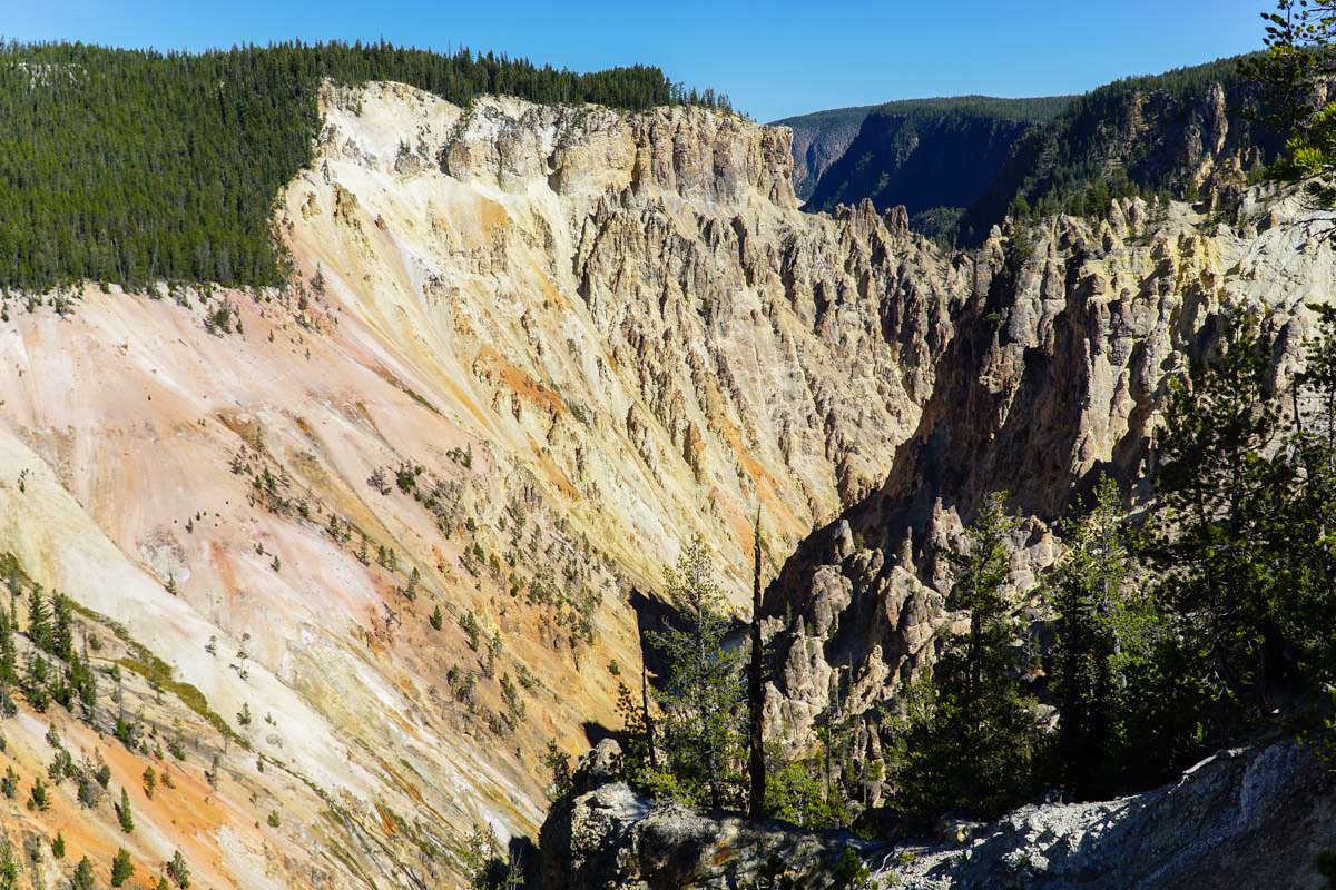 Gelber Sandstein im Yellowstone NP