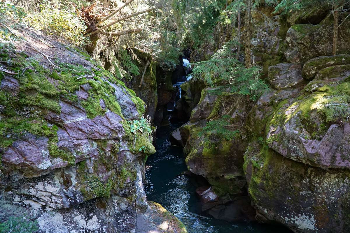 Avalanche Creek im Glacier Nationalpark