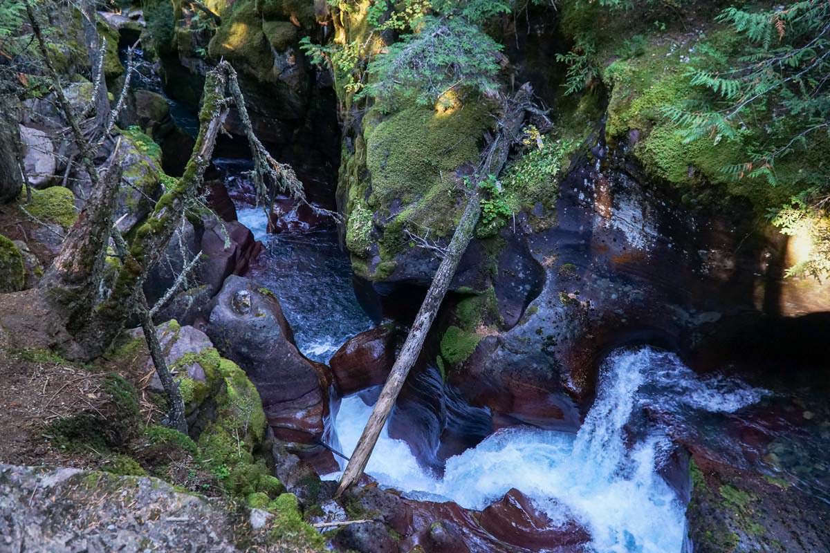 Unser Tipp: Eine Wanderung im Avalanche Creek im Glacier Nationalpark