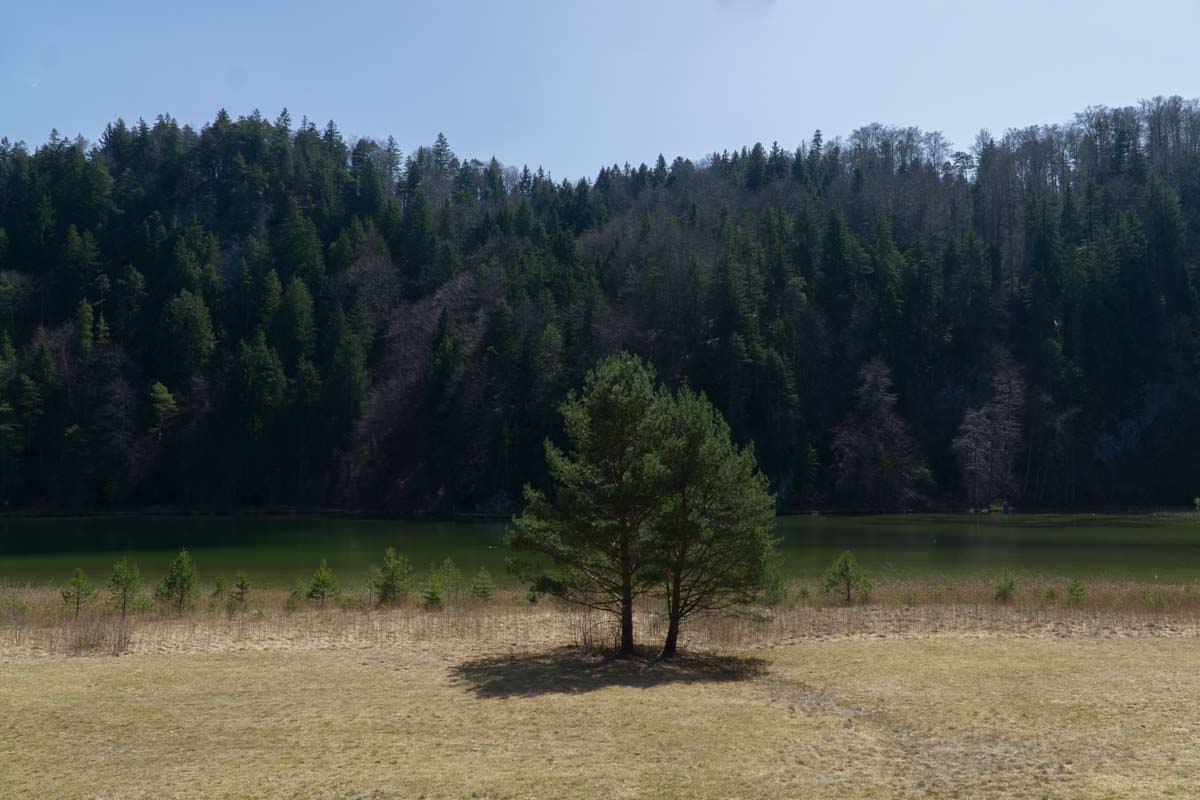 Der Obersee bei Füssen