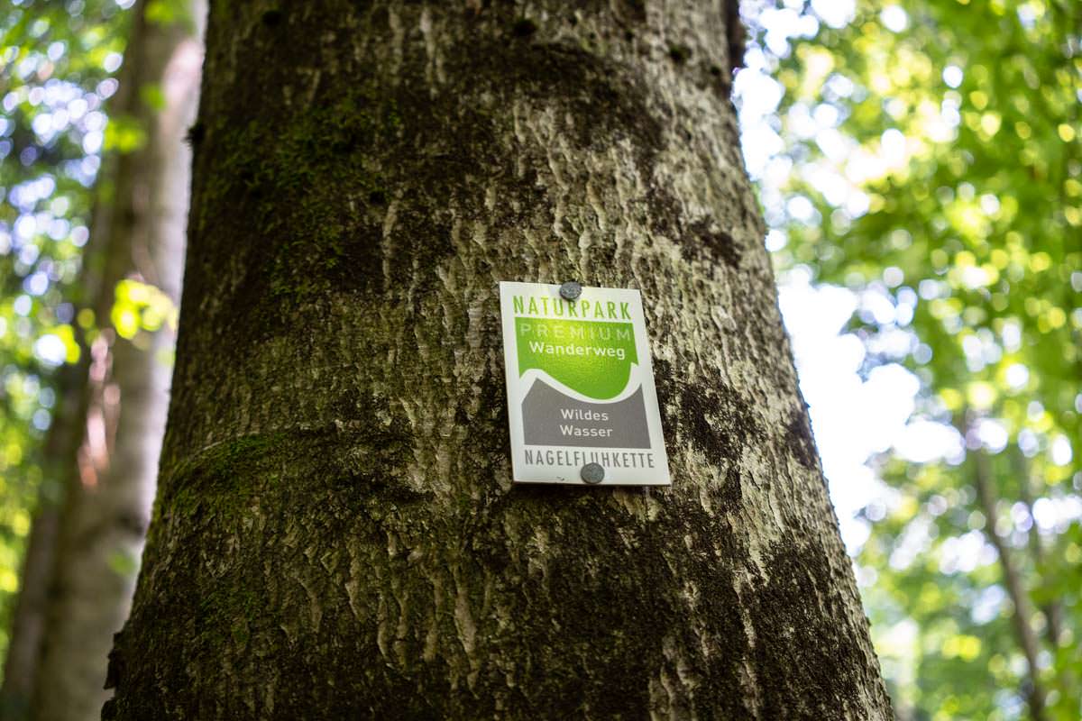 Die Buchenegger Wasserfälle liegen auf dem Premiumwanderweg "Wildes Wasser"