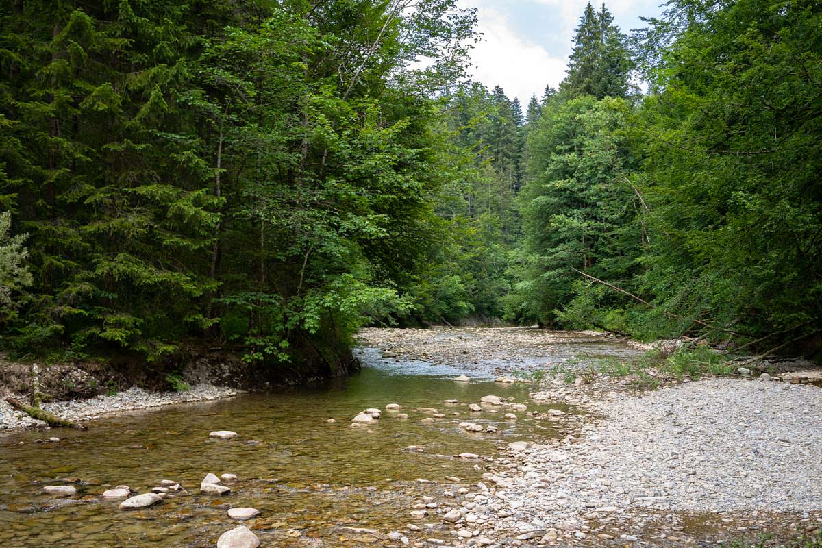 Das Flussbett der Weißach verläuft oberhalb der Wasserfälle seicht und breit