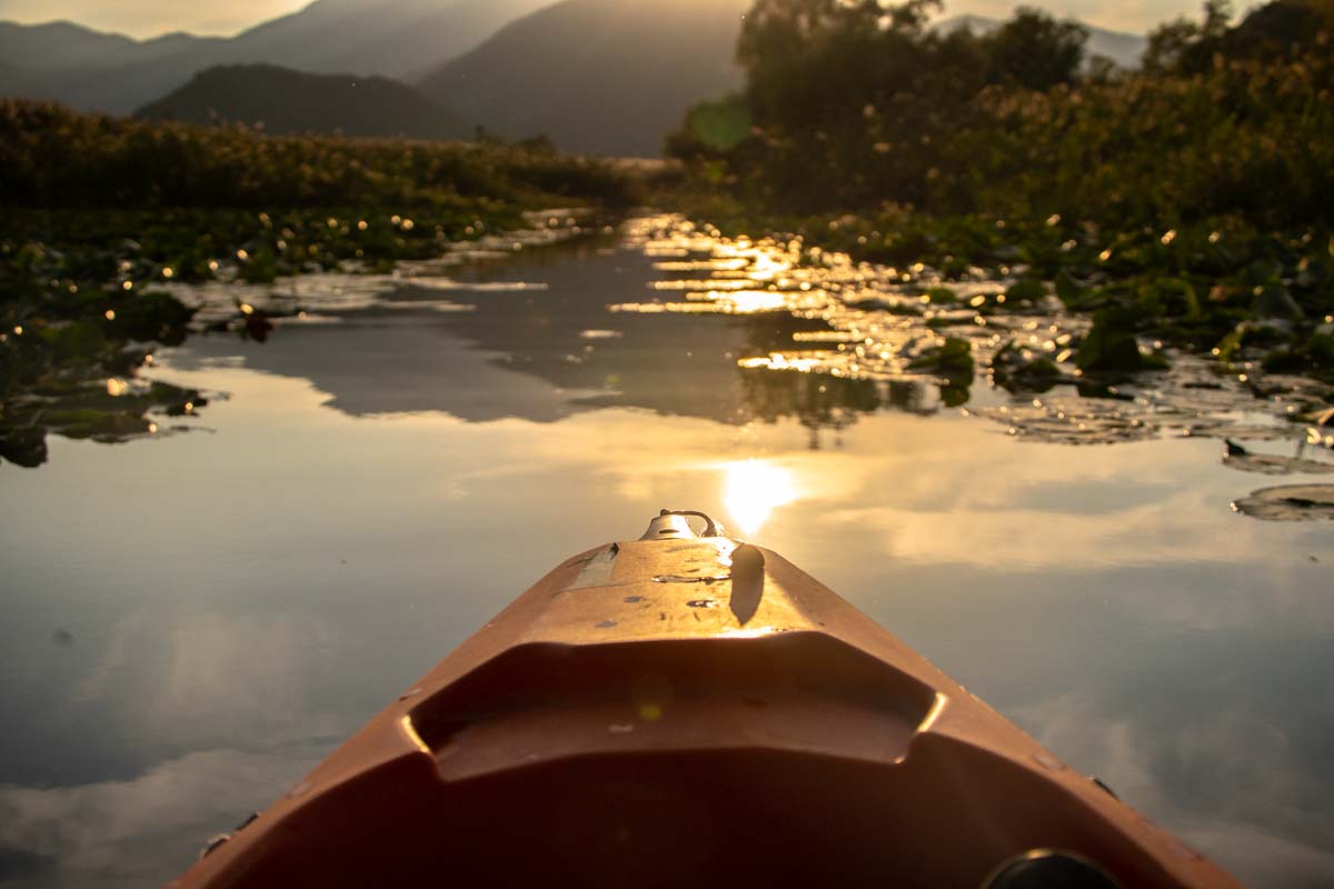 Kajak am Skadar See