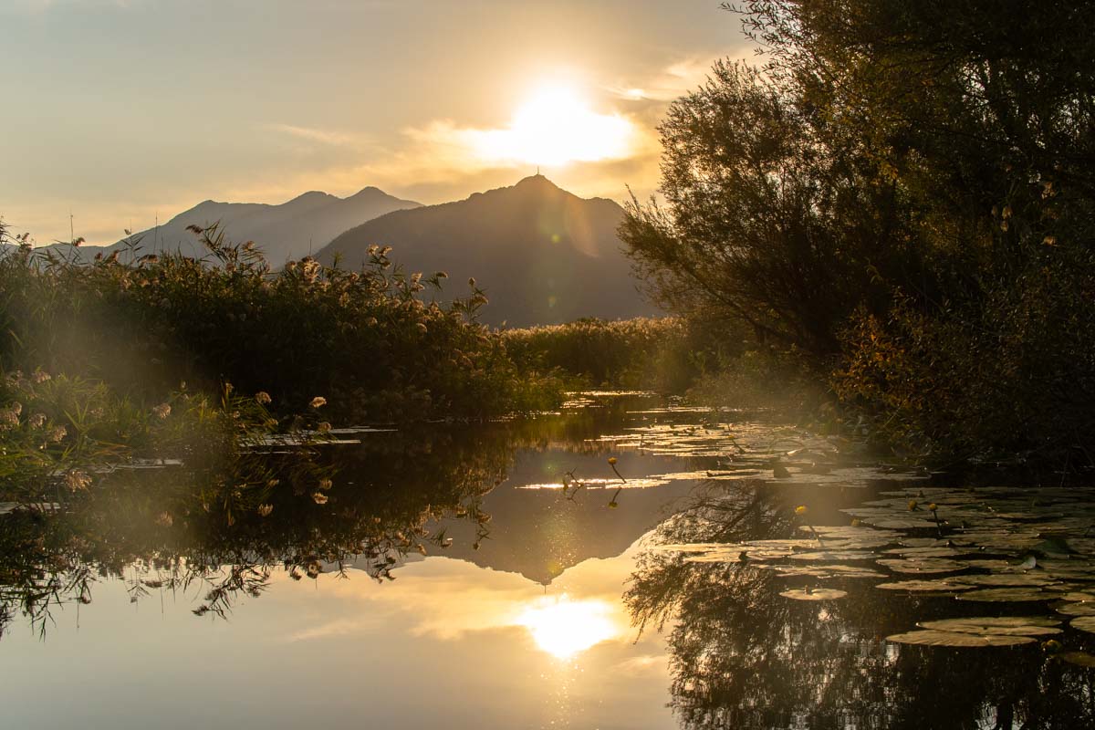 Sonnenuntergang über dem Skadar See (Virpazar, Montenegro)