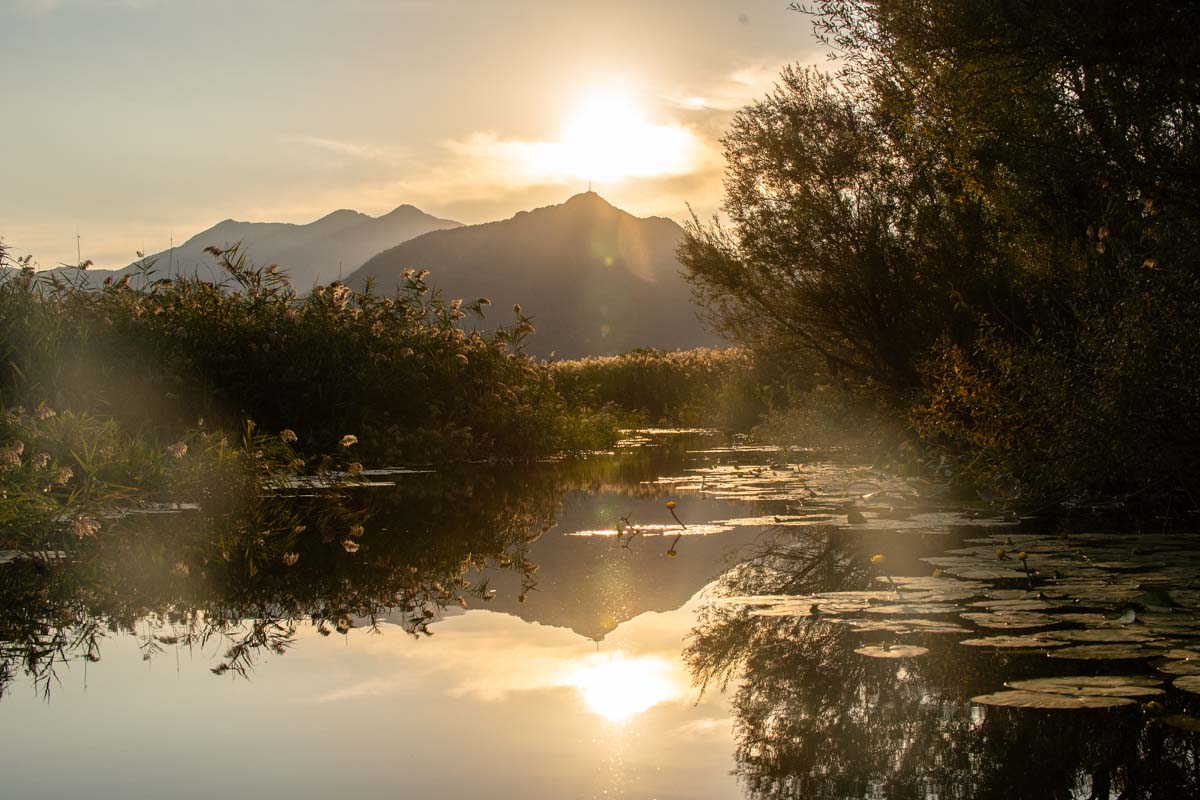 Sonnenuntergang am Skadar See (Montenegro)