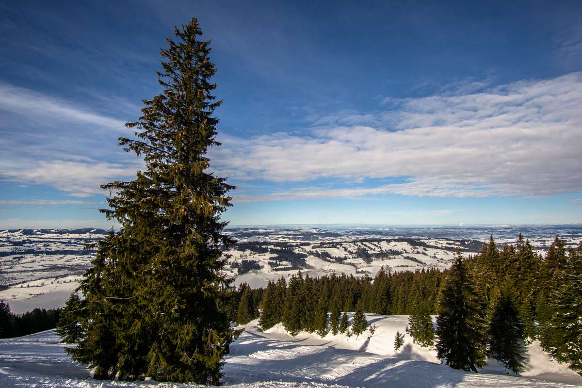 Blick auf das verschneite Allgäu