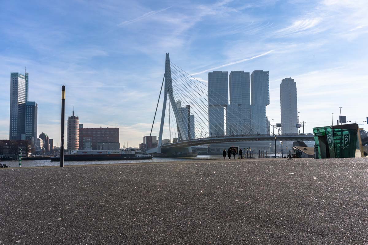 Neue Maas und Erasmusbrug in Rotterdam