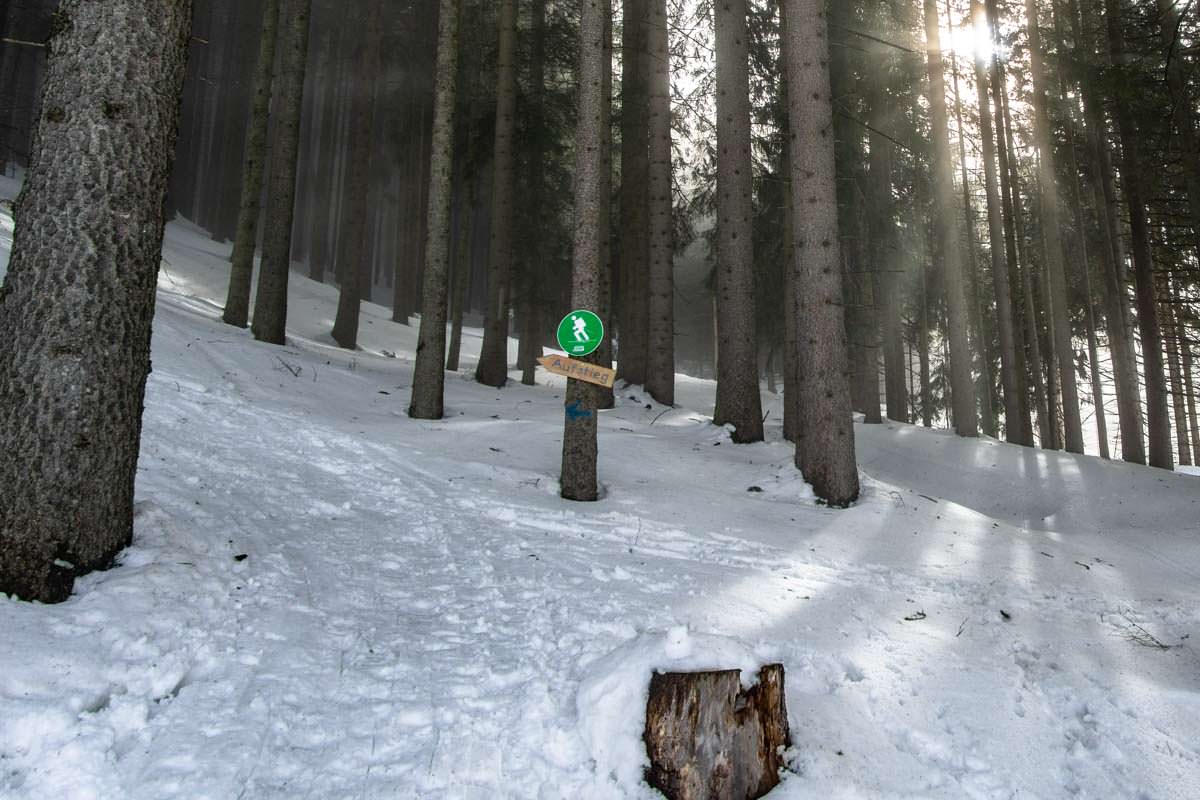 Schilder kennzeichnen Aufstieg am Grünten