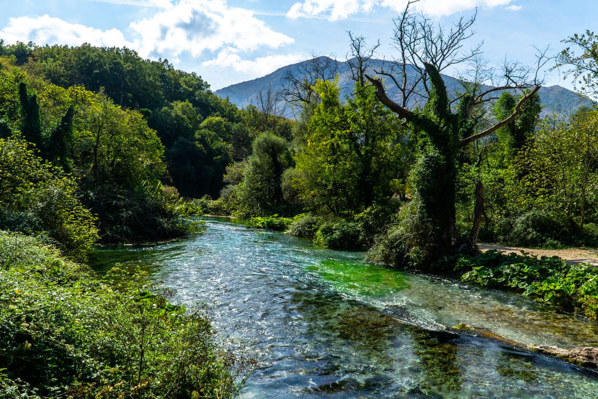 Platanen- und Eichenwald (Syri i Kaltër, Albanien)