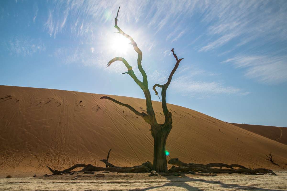 Big Daddy Dune am Deadvlei