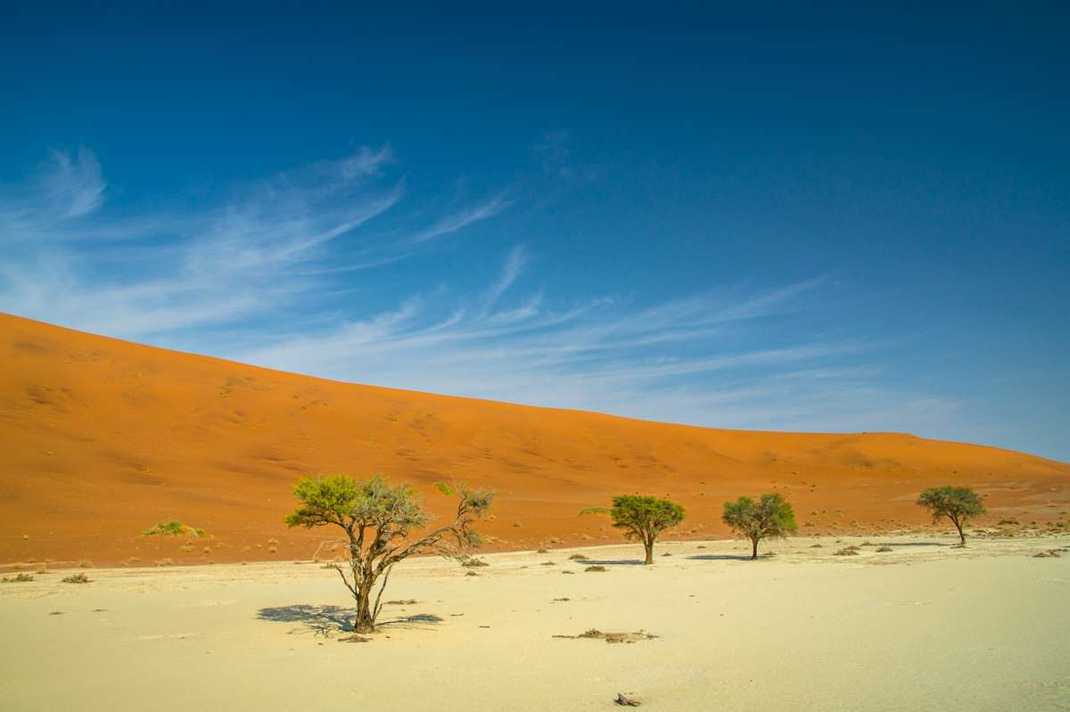 Salzpfanne Deadvlei