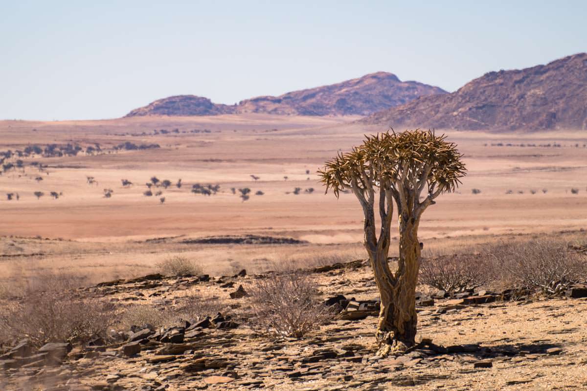 Namib Naukluft Nationalpark (Namibia)