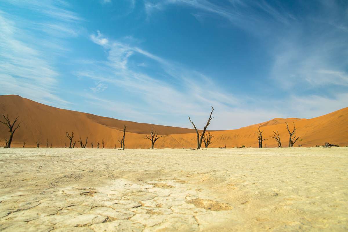 Die abgestorbenen Akazienbäume in der Deadvlei