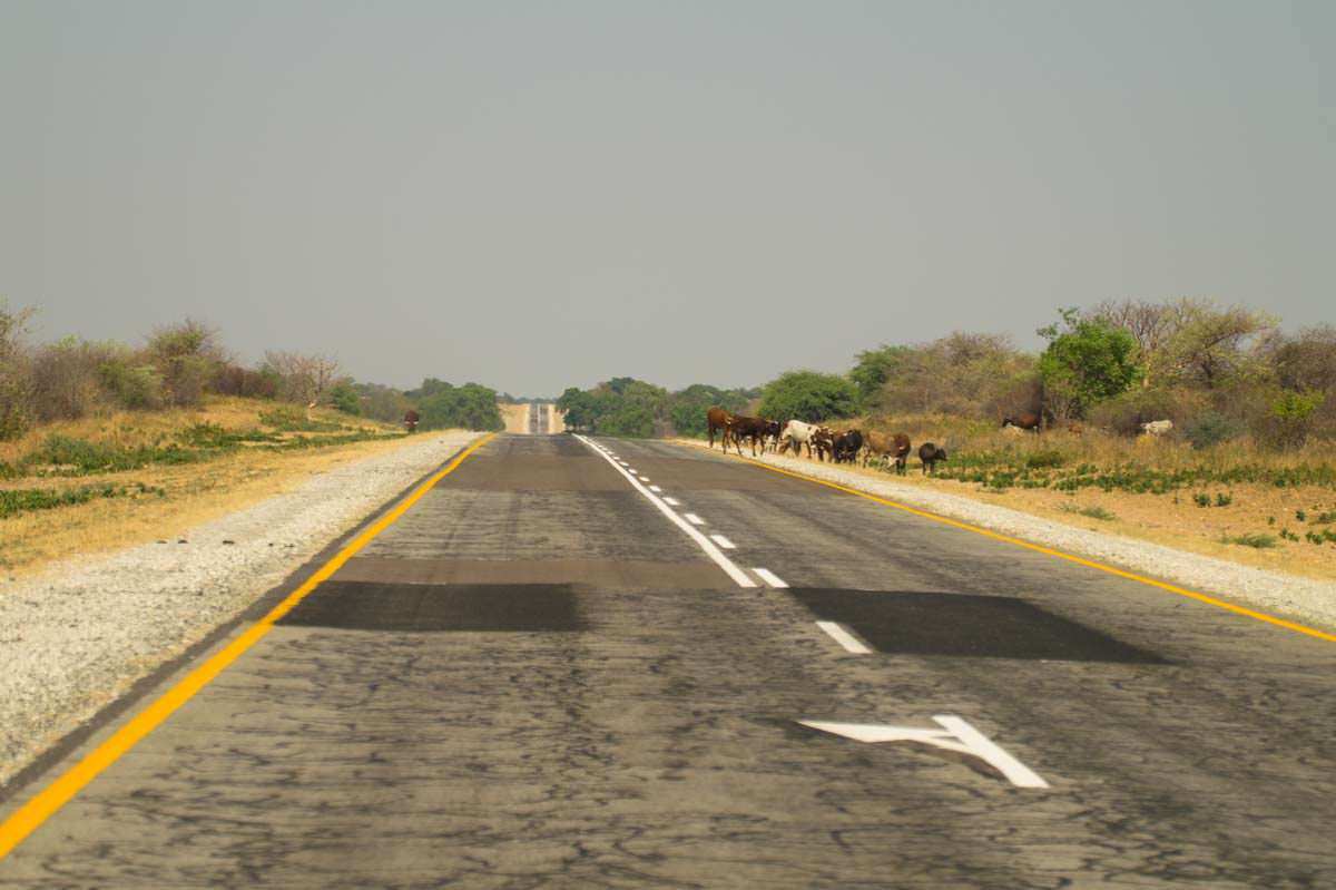 Straße im Caprivi-Streifen (Namibia)