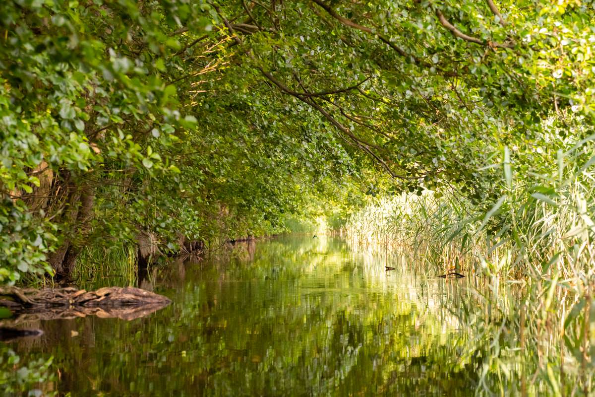 An vielen Stellen ist die Obere Havel sehr eng und dicht bewachsen - Wasserwandern ist hier ein Genuss