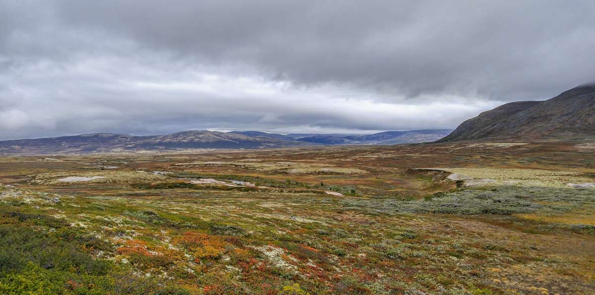 Das Hochplateau vom Dovrefjell Nationalpark