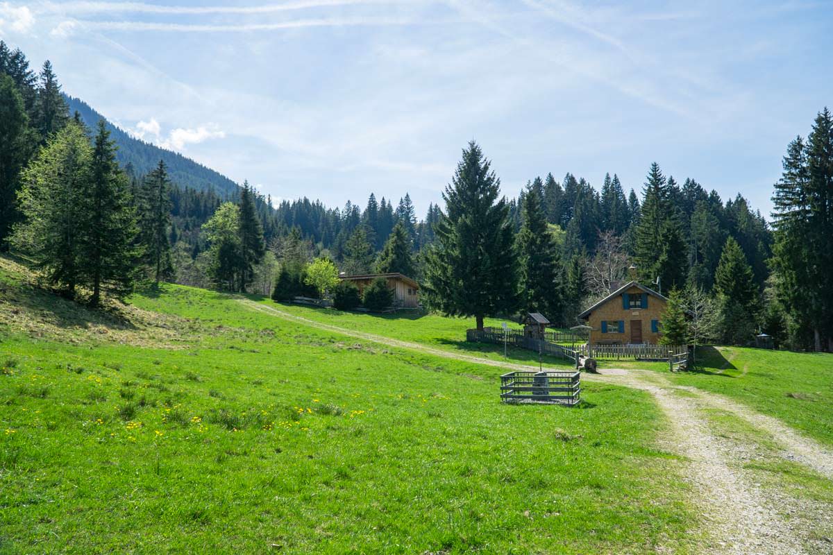 Die Wiesen der Unteren Alpe leuchten in einem satten Grün