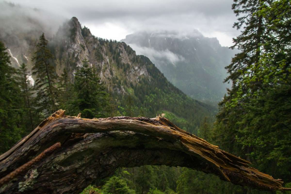 Wanderung vom Tegelberg zum Schloss Neuschwanstein