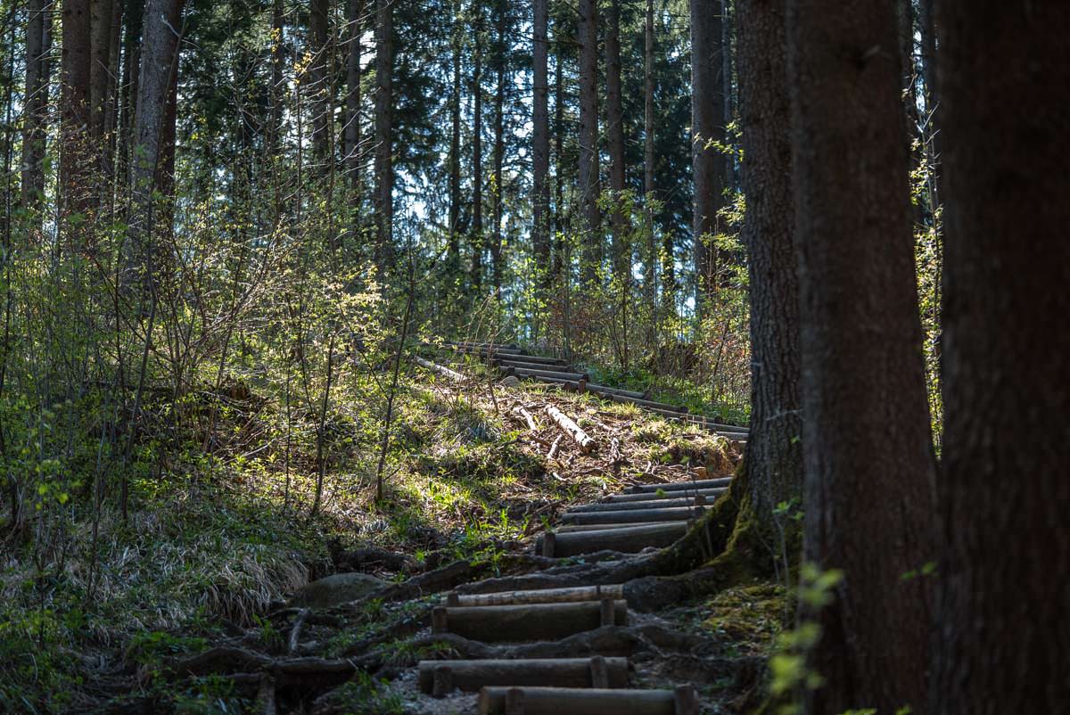 Auf dem Wasserfallweg besteigen wir den Alpspitz