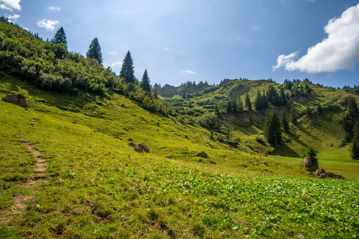 Nagelfluhrippen im Allgäu