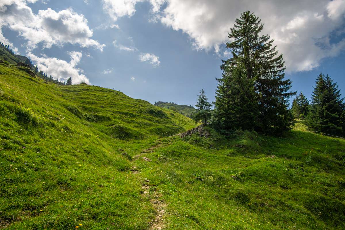 Wanderweg über die Siplinger Alpe zum Siplinger Kopf