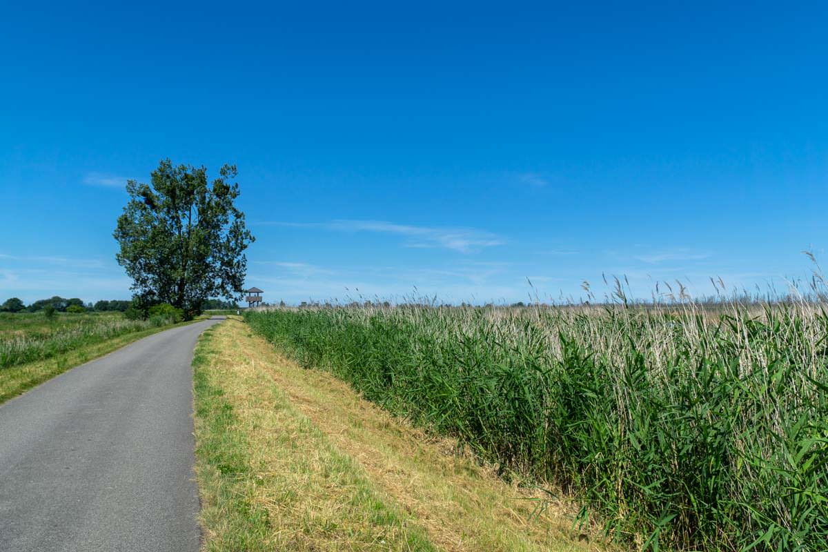 Der Aussichtsturm in Rosenhagen erlaubt einen tollen Blick über den Anklamer Stadtbruch