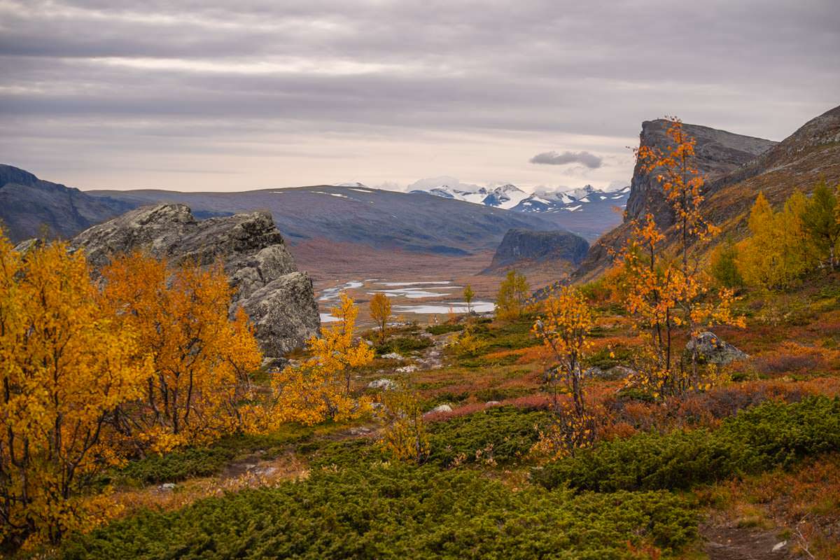 Der Sarek Nationalpark in den bunten Farben des Herbstes