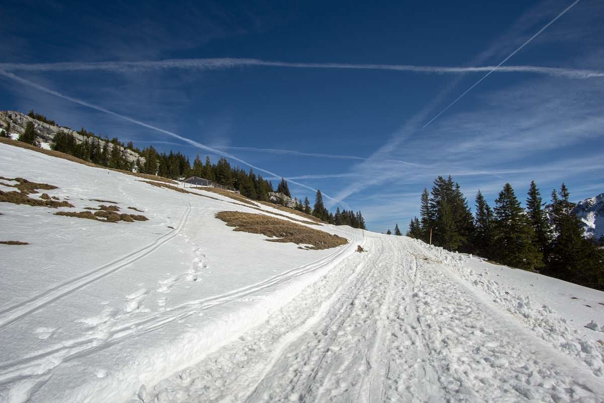 Auf der breiten Rodelbahn am Breitenberg kann man auch Winterwandern