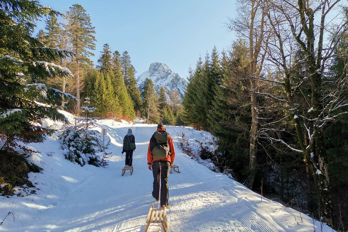 Die längste Naturrodelbahn im Allgäu verläuft am Breitenberg