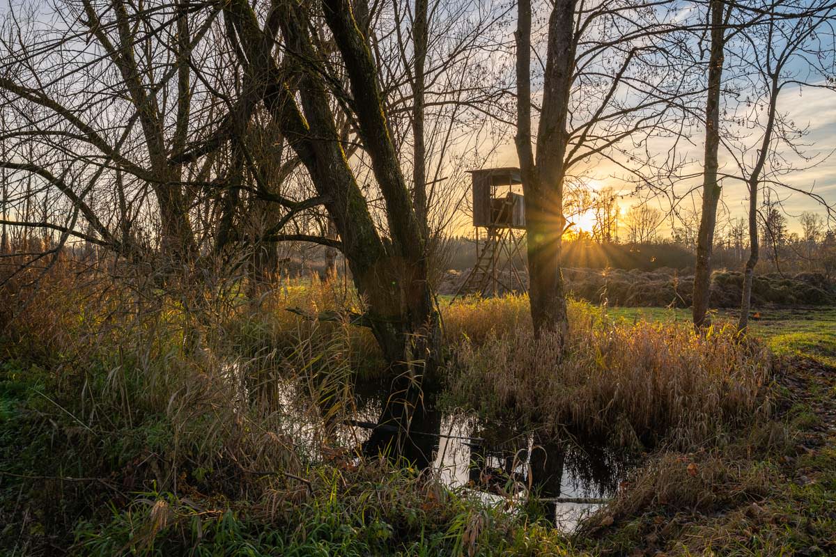 Deutschlands atemberaubende Foto-Locations: Osterried vor der Tür