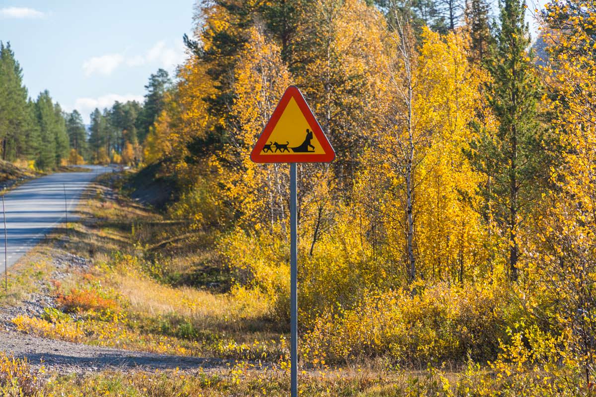 Verkehrsschild mit Hundeschlitten in Lappland