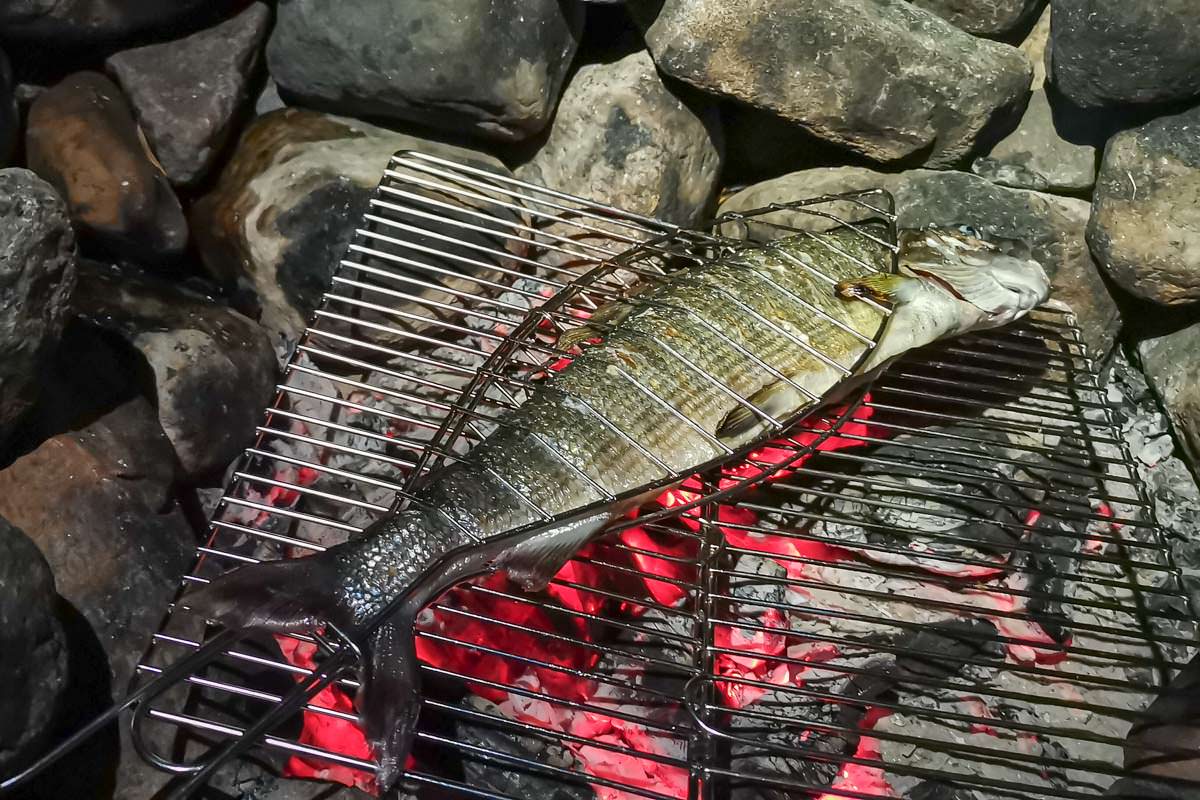 Gegrillter Fisch auf Feuerstelle in Schweden